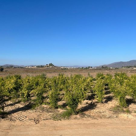 Villas Persas By Jardin De Persia Valle de Guadalupe Kültér fotó
