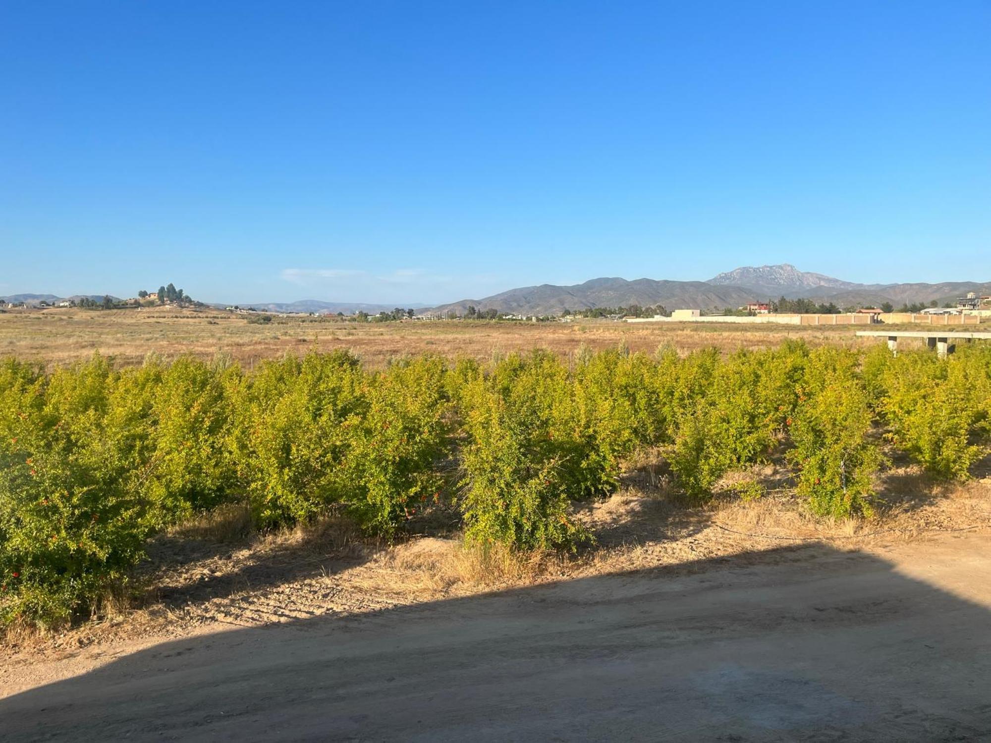 Villas Persas By Jardin De Persia Valle de Guadalupe Kültér fotó